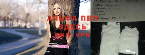 шишки Беломорск