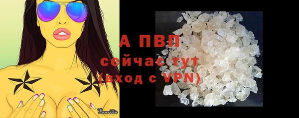 шишки Беломорск