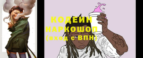 шишки Беломорск