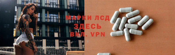 шишки Беломорск