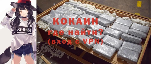 соль ск Белокуриха