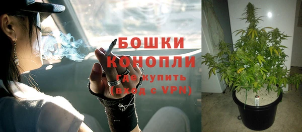 соль ск Белокуриха