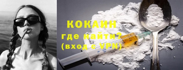 шишки Беломорск