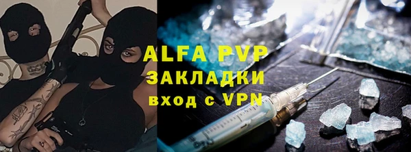 шишки Беломорск