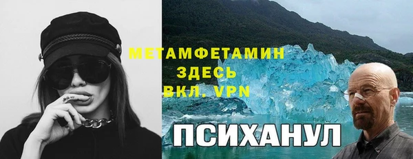 ГАЛЛЮЦИНОГЕННЫЕ ГРИБЫ Белоозёрский